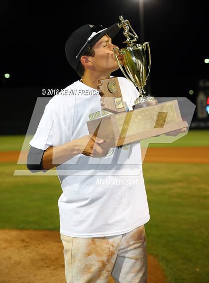 Thumbnail 3 in O'Connor (AIA 6A Final Awards) photogallery.