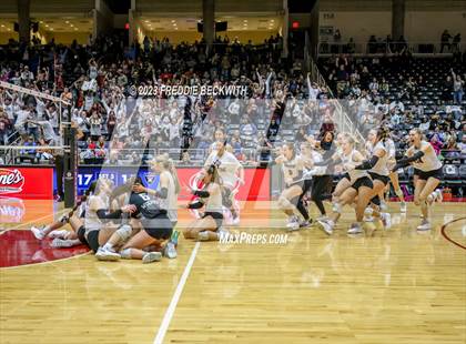 Thumbnail 1 in Davenport vs. Randall (UIL 4A Volleyball Final) photogallery.