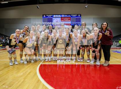 Thumbnail 1 in Davenport vs. Randall (UIL 4A Volleyball Final) photogallery.