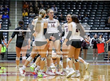 Thumbnail 1 in Davenport vs. Randall (UIL 4A Volleyball Final) photogallery.