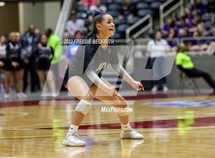 Thumbnail 3 in Davenport vs. Randall (UIL 4A Volleyball Final) photogallery.