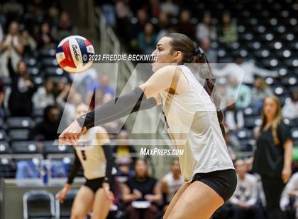 Thumbnail 2 in Davenport vs. Randall (UIL 4A Volleyball Final) photogallery.
