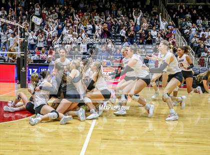 Thumbnail 3 in Davenport vs. Randall (UIL 4A Volleyball Final) photogallery.
