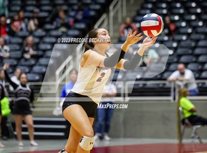 Thumbnail 3 in Davenport vs. Randall (UIL 4A Volleyball Final) photogallery.