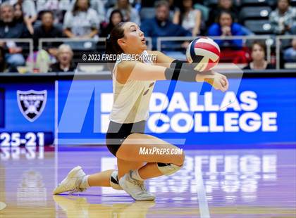 Thumbnail 2 in Davenport vs. Randall (UIL 4A Volleyball Final) photogallery.