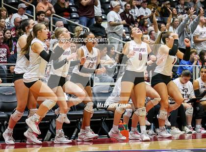 Thumbnail 2 in Davenport vs. Randall (UIL 4A Volleyball Final) photogallery.