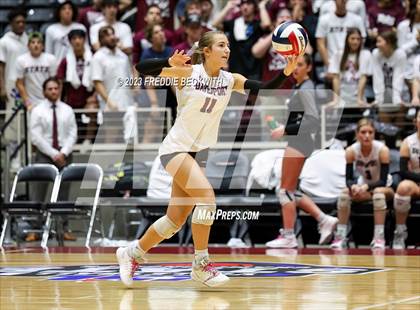 Thumbnail 1 in Davenport vs. Randall (UIL 4A Volleyball Final) photogallery.