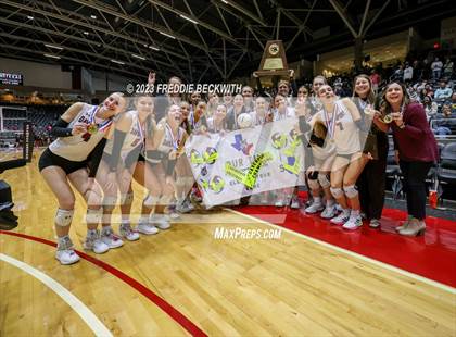 Thumbnail 1 in Davenport vs. Randall (UIL 4A Volleyball Final) photogallery.