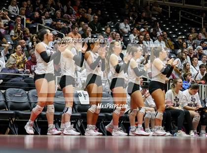 Thumbnail 3 in Davenport vs. Randall (UIL 4A Volleyball Final) photogallery.