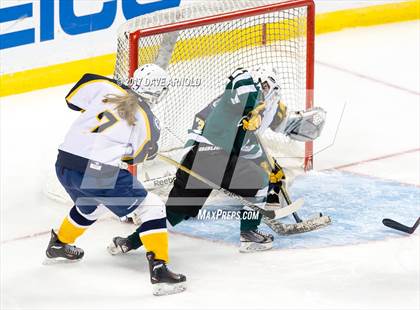Thumbnail 1 in Notre Dame Academy vs. Canton (MIAA Division 2 Final) photogallery.
