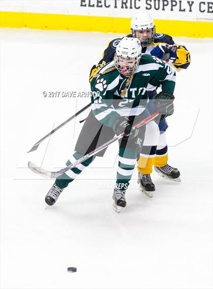 Thumbnail 1 in Notre Dame Academy vs. Canton (MIAA Division 2 Final) photogallery.