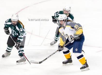 Thumbnail 1 in Notre Dame Academy vs. Canton (MIAA Division 2 Final) photogallery.