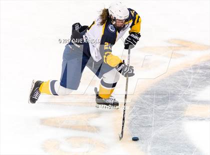 Thumbnail 1 in Notre Dame Academy vs. Canton (MIAA Division 2 Final) photogallery.