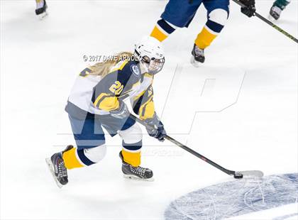 Thumbnail 1 in Notre Dame Academy vs. Canton (MIAA Division 2 Final) photogallery.