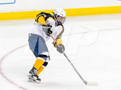Thumbnail 1 in Notre Dame Academy vs. Canton (MIAA Division 2 Final) photogallery.