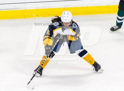 Thumbnail 2 in Notre Dame Academy vs. Canton (MIAA Division 2 Final) photogallery.
