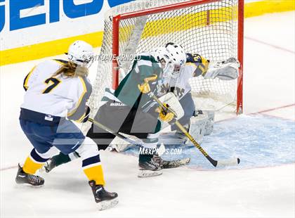Thumbnail 3 in Notre Dame Academy vs. Canton (MIAA Division 2 Final) photogallery.