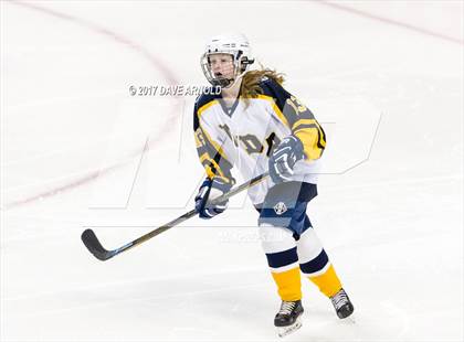 Thumbnail 3 in Notre Dame Academy vs. Canton (MIAA Division 2 Final) photogallery.