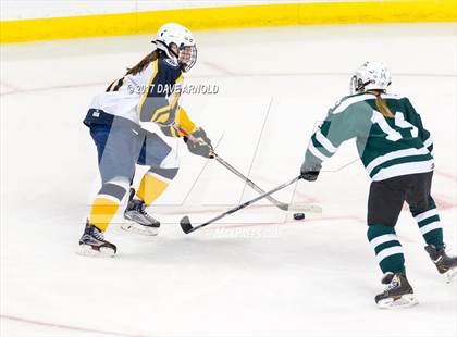 Thumbnail 3 in Notre Dame Academy vs. Canton (MIAA Division 2 Final) photogallery.