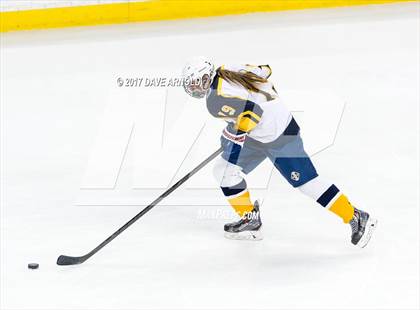 Thumbnail 2 in Notre Dame Academy vs. Canton (MIAA Division 2 Final) photogallery.