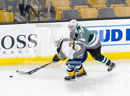 Thumbnail 1 in Notre Dame Academy vs. Canton (MIAA Division 2 Final) photogallery.
