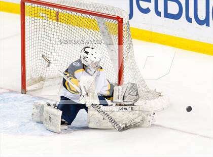 Thumbnail 3 in Notre Dame Academy vs. Canton (MIAA Division 2 Final) photogallery.
