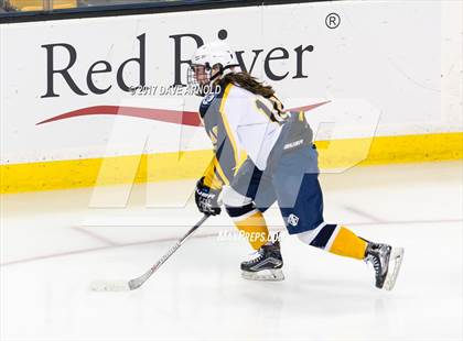 Thumbnail 3 in Notre Dame Academy vs. Canton (MIAA Division 2 Final) photogallery.