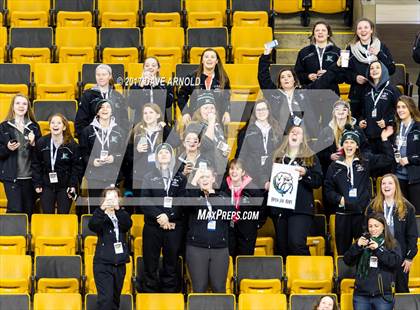 Thumbnail 1 in Notre Dame Academy vs. Canton (MIAA Division 2 Final) photogallery.