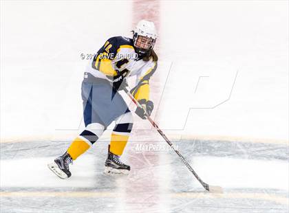 Thumbnail 1 in Notre Dame Academy vs. Canton (MIAA Division 2 Final) photogallery.