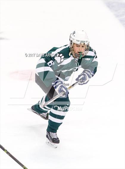 Thumbnail 2 in Notre Dame Academy vs. Canton (MIAA Division 2 Final) photogallery.