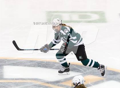 Thumbnail 1 in Notre Dame Academy vs. Canton (MIAA Division 2 Final) photogallery.