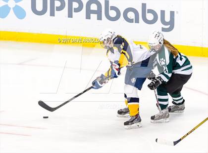 Thumbnail 2 in Notre Dame Academy vs. Canton (MIAA Division 2 Final) photogallery.