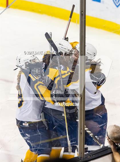 Thumbnail 3 in Notre Dame Academy vs. Canton (MIAA Division 2 Final) photogallery.