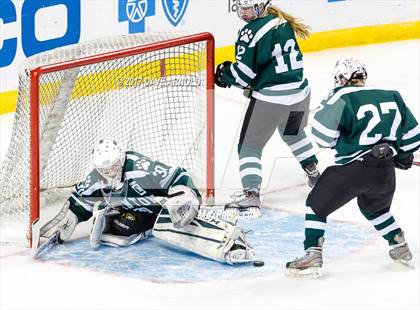 Thumbnail 2 in Notre Dame Academy vs. Canton (MIAA Division 2 Final) photogallery.