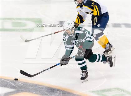 Thumbnail 1 in Notre Dame Academy vs. Canton (MIAA Division 2 Final) photogallery.