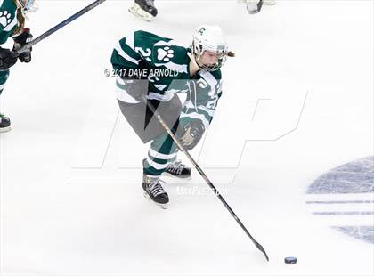 Thumbnail 1 in Notre Dame Academy vs. Canton (MIAA Division 2 Final) photogallery.