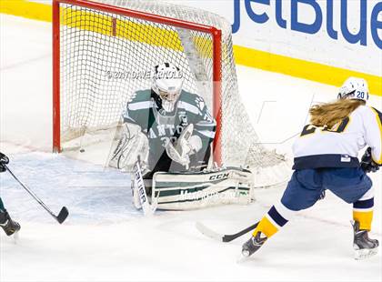 Thumbnail 1 in Notre Dame Academy vs. Canton (MIAA Division 2 Final) photogallery.