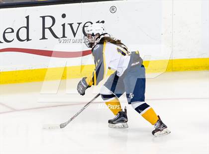 Thumbnail 2 in Notre Dame Academy vs. Canton (MIAA Division 2 Final) photogallery.
