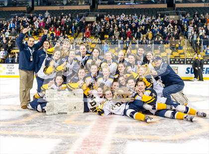 Thumbnail 1 in Notre Dame Academy vs. Canton (MIAA Division 2 Final) photogallery.