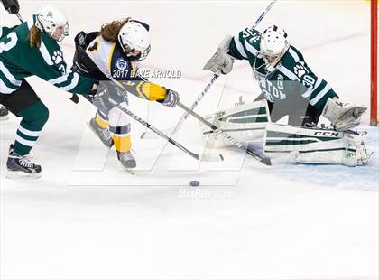 Thumbnail 1 in Notre Dame Academy vs. Canton (MIAA Division 2 Final) photogallery.