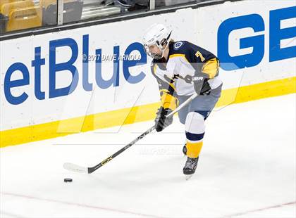 Thumbnail 1 in Notre Dame Academy vs. Canton (MIAA Division 2 Final) photogallery.