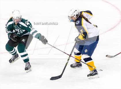 Thumbnail 1 in Notre Dame Academy vs. Canton (MIAA Division 2 Final) photogallery.