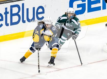 Thumbnail 3 in Notre Dame Academy vs. Canton (MIAA Division 2 Final) photogallery.