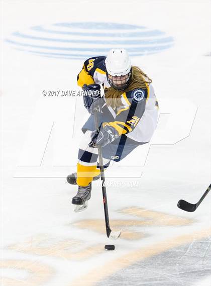 Thumbnail 3 in Notre Dame Academy vs. Canton (MIAA Division 2 Final) photogallery.