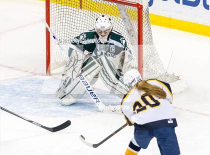 Thumbnail 2 in Notre Dame Academy vs. Canton (MIAA Division 2 Final) photogallery.