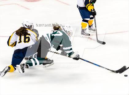 Thumbnail 3 in Notre Dame Academy vs. Canton (MIAA Division 2 Final) photogallery.