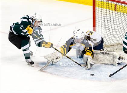 Thumbnail 1 in Notre Dame Academy vs. Canton (MIAA Division 2 Final) photogallery.