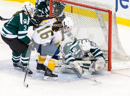 Thumbnail 1 in Notre Dame Academy vs. Canton (MIAA Division 2 Final) photogallery.