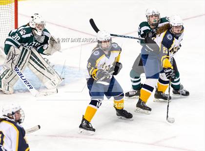 Thumbnail 1 in Notre Dame Academy vs. Canton (MIAA Division 2 Final) photogallery.