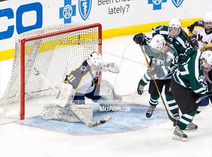 Thumbnail 1 in Notre Dame Academy vs. Canton (MIAA Division 2 Final) photogallery.
